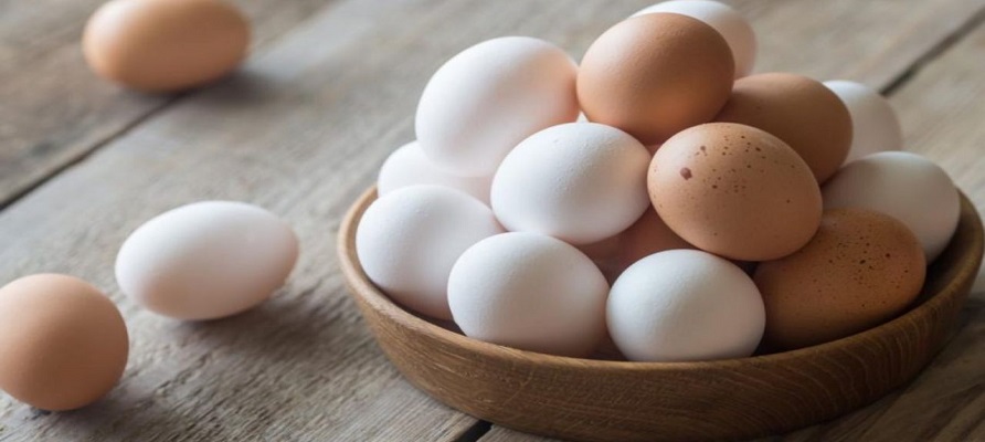  صادرات تخم‌ مرغ از استان مرکزی 100 درصد افزایش یافت